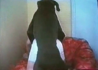 Amateur bestial action with a milf