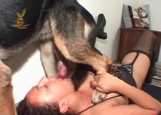 Shepherd drills a filthy slut