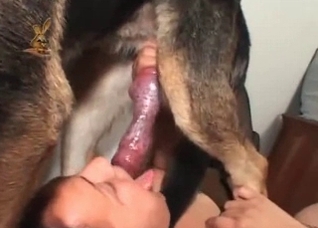 Shepherd drills a filthy slut