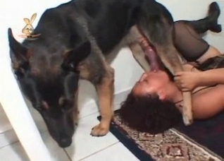 Shepherd drills a filthy slut