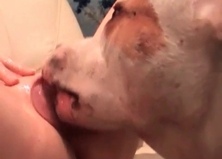 Doggy is cumming on her boobies