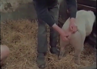 Nice anal action at the old farm