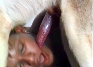 Shepherd is getting in the zoo porn