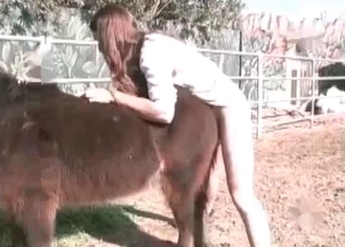 Sweet white horse enjoys filthy action