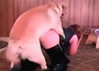 Retriever is drilling her tight twat
