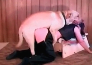 Retriever is drilling her tight twat