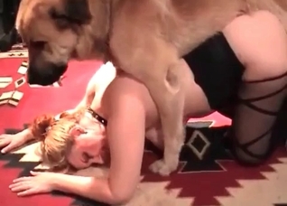 Shepherd drills a nice young blonde