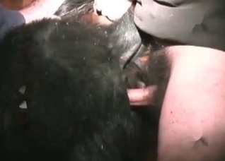 Black dog enjoys nasty animal sex