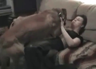 Hardcore and fast zoo penetration