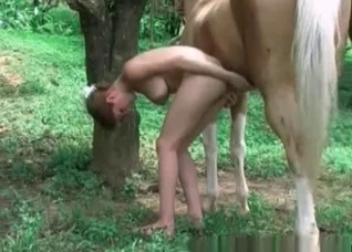 Awesome penetration with a hardcore horse