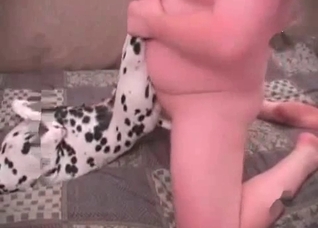 Hot doggy is being drilled so hard