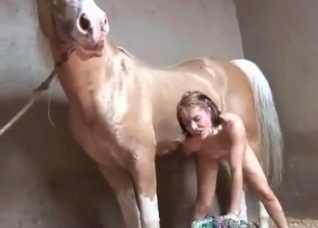 Animal sex with a hardcore stallion