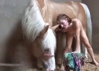 Animal sex with a hardcore stallion
