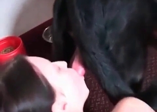 Hot girl is giving a nice head for a dog