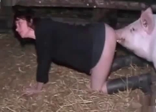 Nasty pig is banging a dirty zoophile