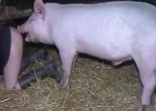 Nasty pig is banging a dirty zoophile