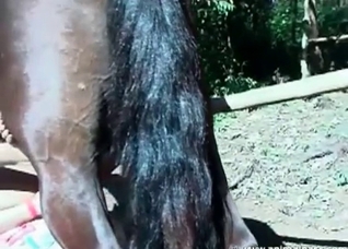 Very dirty animal porn action
