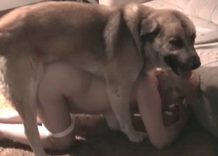 Chubby woman fucks with her doggy