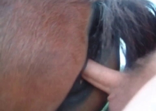 Hard sex with a nice animal