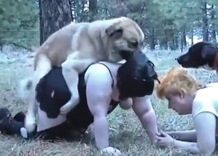 Dirty fat bitches are enjoying bestial sex