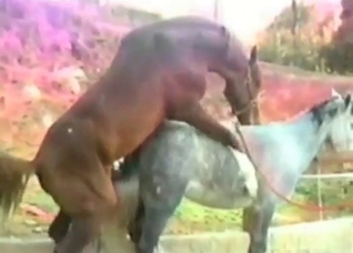 Filthy slut enjoys nasty bestial sex