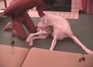 Cute young doggy and a hardcore whore