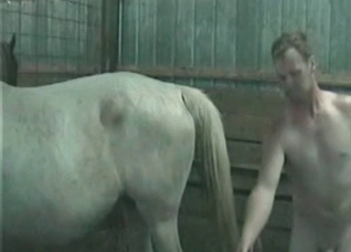 Filthy stallion is being fucked