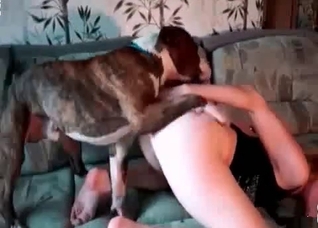 Sweet retriever drills her vagina