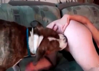 Sweet retriever drills her vagina