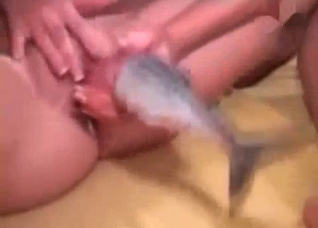 Nasty bestial sex with a fish