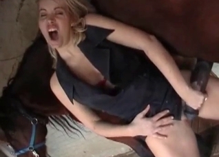 Horse enjoys outdoor bestiality