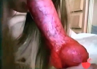 White retriever is enjoying nasty zoo porn