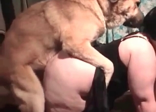 Big trained dog fucks a nice snatch