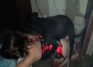 Hardcore black dog fucks a nice slut