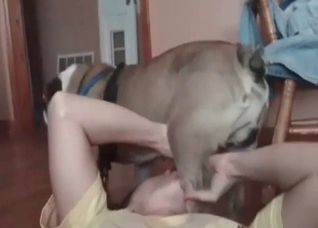 Impressive girl is fucking with a dog