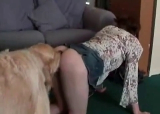 Hiary Retriever is sucking her snatch