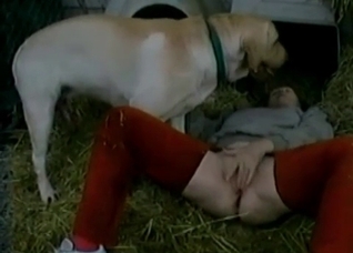 Dirty farm sex with a nice trained pet