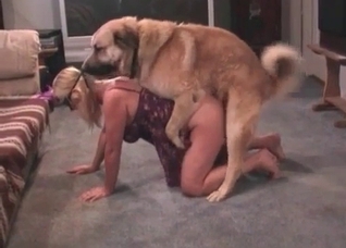 Masked wife and her trained puppy