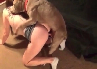 Trained hound fucks her small snatch