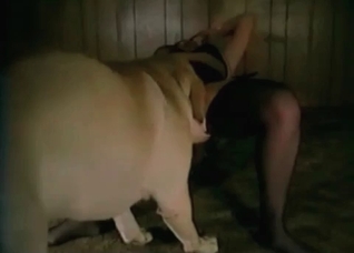 Doggy is cumming a nice load of cum