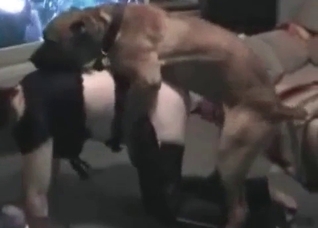 Brutal dog and stunning milf zoophile