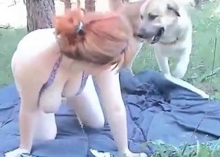 Playful doggy is enjoying animal sex