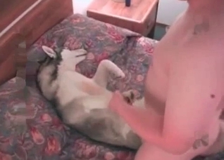 Awesome anal sex with a horny doggy