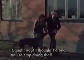 Pig is being explored and fucked