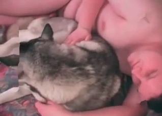 Truly perverted bestiality action