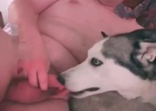 Truly perverted bestiality action