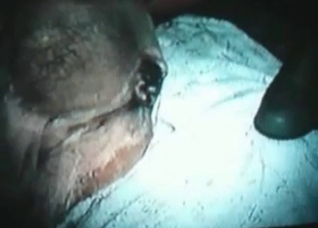 Horse is being pounded by a guy