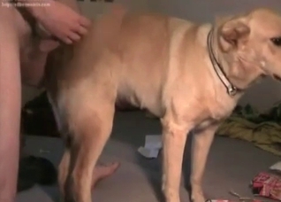 Amateur bestial porn in the bedroom