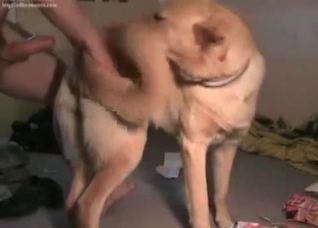 Amateur bestial porn in the bedroom