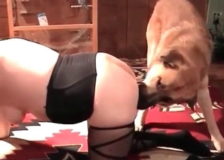 Sex with a horny doggy in the bedroom